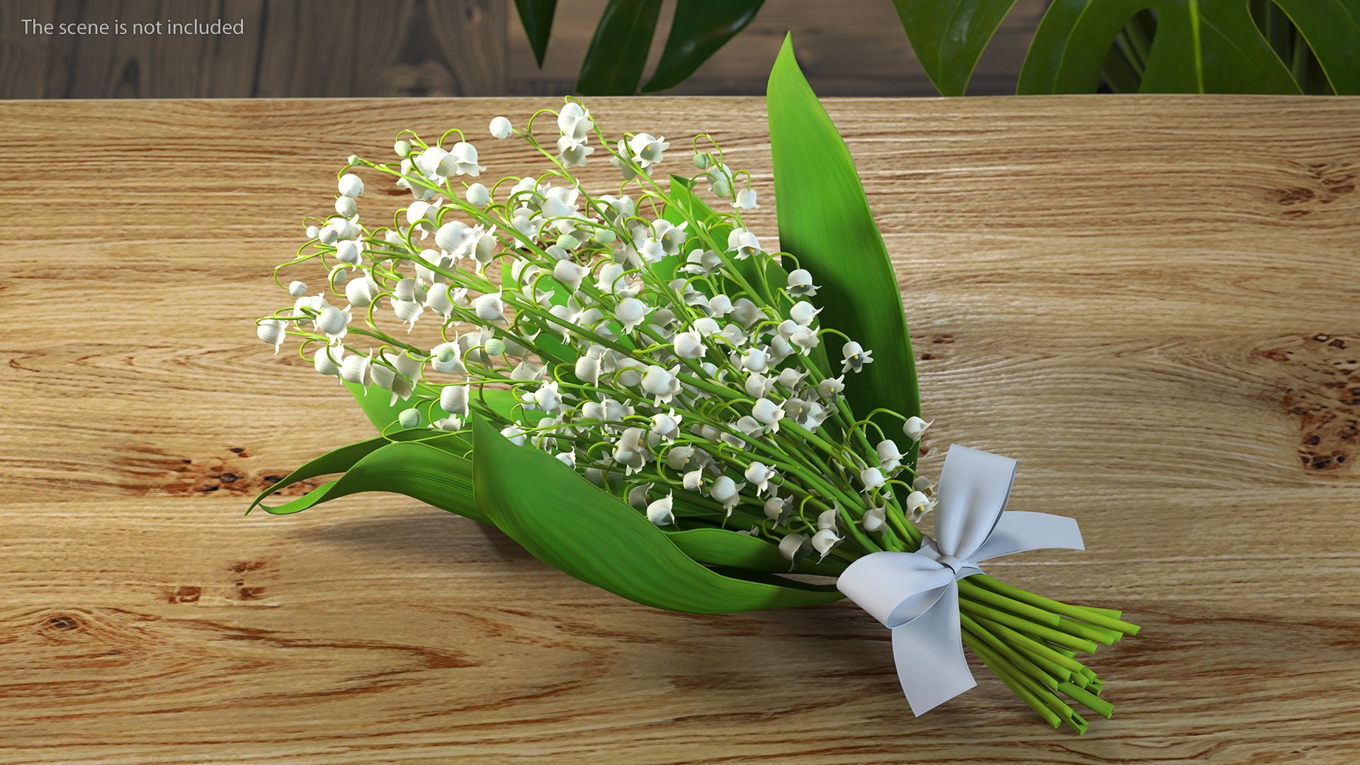 Lily of the Valley Bouquet 3D https://p.turbosquid.com/ts-thumb/Yb/W4R1Fn/5A/lilyofthevalleybouquet3dsmodel003/jpg/1654092210/1920x1080/fit_q87/52c519cb6867c4902715a9704381395bbb7eb37d/lilyofthevalleybouquet3dsmodel003.jpg