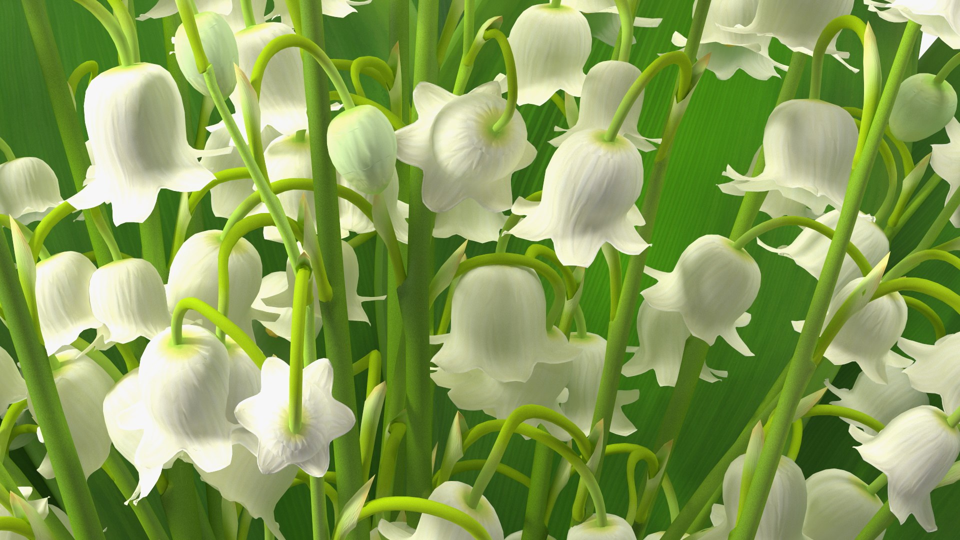 Lily of the Valley Bouquet 3D https://p.turbosquid.com/ts-thumb/Yb/W4R1Fn/B3/lilyofthevalleybouquet3dsmodel014/jpg/1654092251/1920x1080/fit_q87/59fb7effccd4b53622e53c613ca0e3fd59d0dfe9/lilyofthevalleybouquet3dsmodel014.jpg