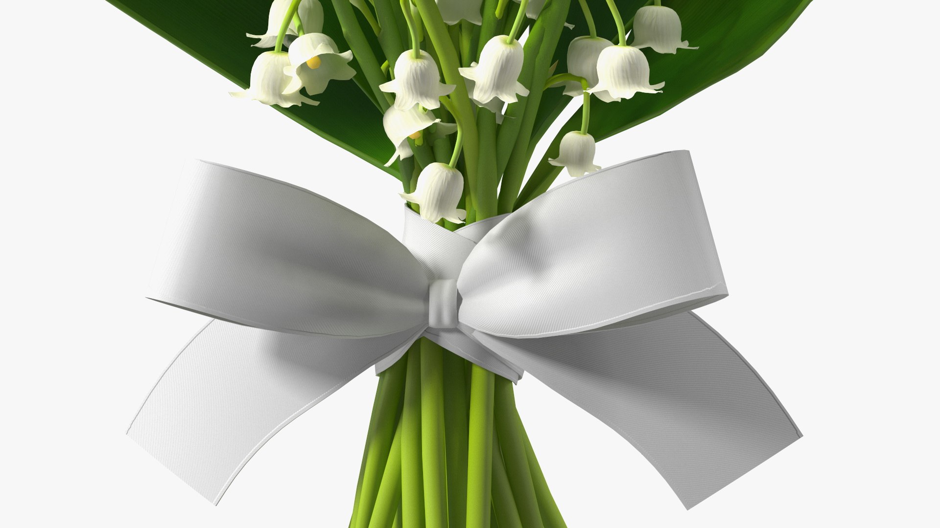 Lily of the Valley Bouquet 3D https://p.turbosquid.com/ts-thumb/Yb/W4R1Fn/GZ/lilyofthevalleybouquet3dsmodel012/jpg/1654092243/1920x1080/fit_q87/342210cb79e704e35c8b26e5fe4cab1a5cdb2fa6/lilyofthevalleybouquet3dsmodel012.jpg