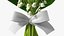 Lily of the Valley Bouquet