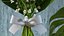 Lily of the Valley Bouquet
