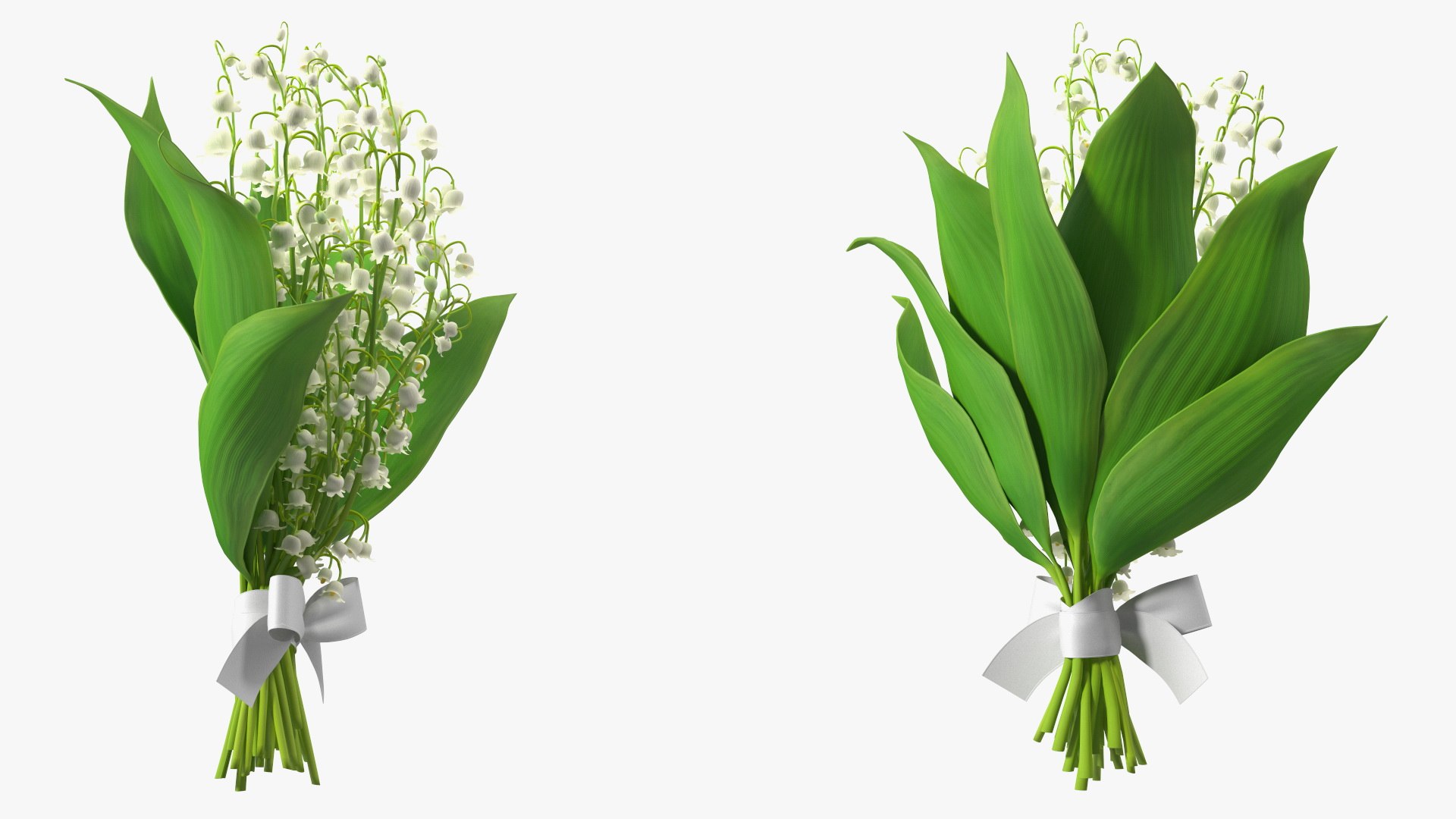 Lily of the Valley Bouquet 3D https://p.turbosquid.com/ts-thumb/Yb/W4R1Fn/Pa/lilyofthevalleybouquet3dsmodel007/jpg/1654092224/1920x1080/fit_q87/fd3bb2b258638bab1111d49b2b64b09785ca77a7/lilyofthevalleybouquet3dsmodel007.jpg