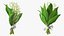 Lily of the Valley Bouquet