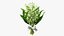Lily of the Valley Bouquet