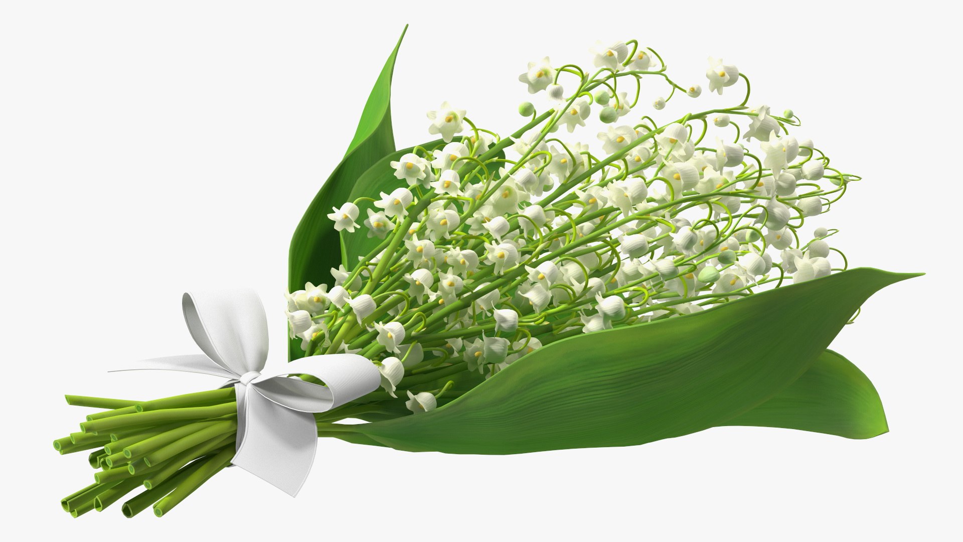 Lily of the Valley Bouquet 3D https://p.turbosquid.com/ts-thumb/Yb/W4R1Fn/W4/lilyofthevalleybouquet3dsmodel010/jpg/1654092236/1920x1080/fit_q87/2dde440b59fa2a2e7ec18a0b0e5ce1964a4558d5/lilyofthevalleybouquet3dsmodel010.jpg