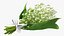 Lily of the Valley Bouquet