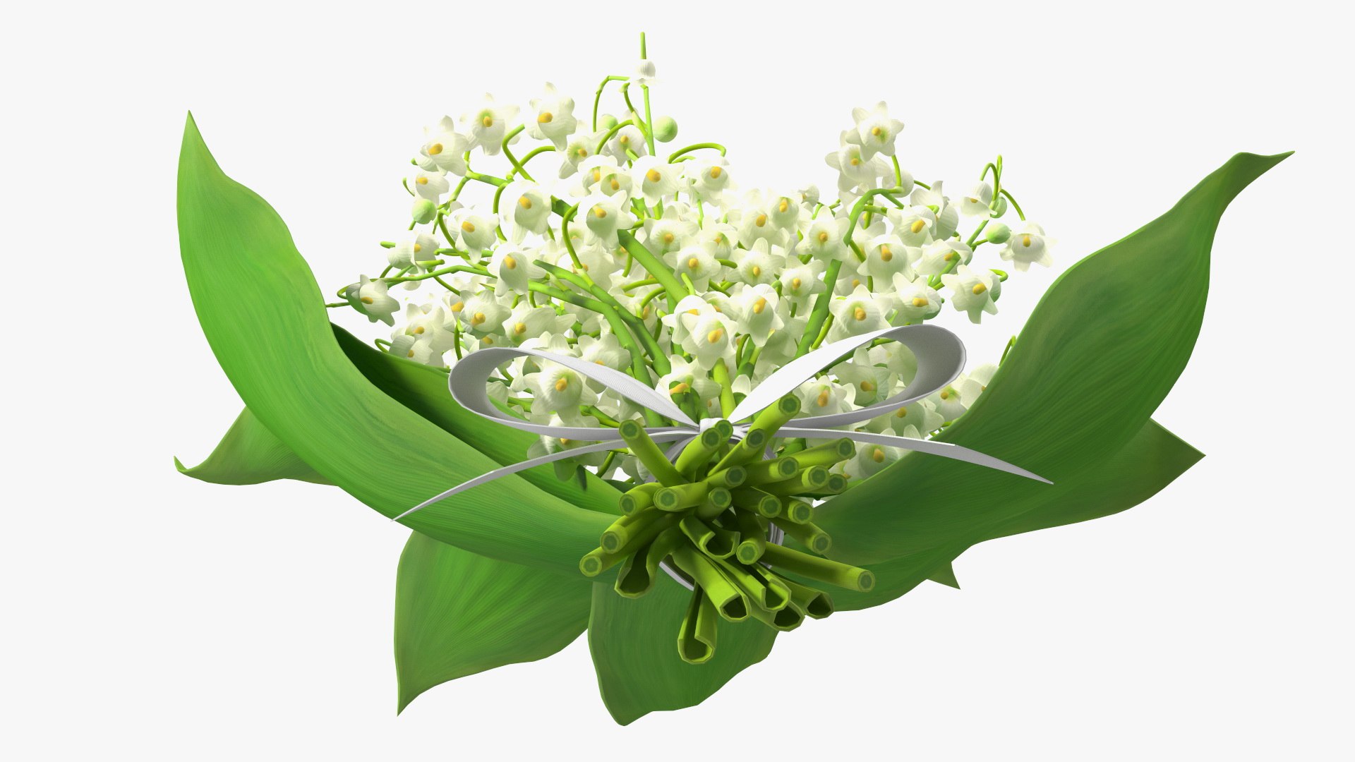 Lily of the Valley Bouquet 3D https://p.turbosquid.com/ts-thumb/Yb/W4R1Fn/Y6/lilyofthevalleybouquet3dsmodel009/jpg/1654092232/1920x1080/fit_q87/5333cacac682d3bd672b1c883f472bdb6ced142a/lilyofthevalleybouquet3dsmodel009.jpg