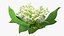Lily of the Valley Bouquet