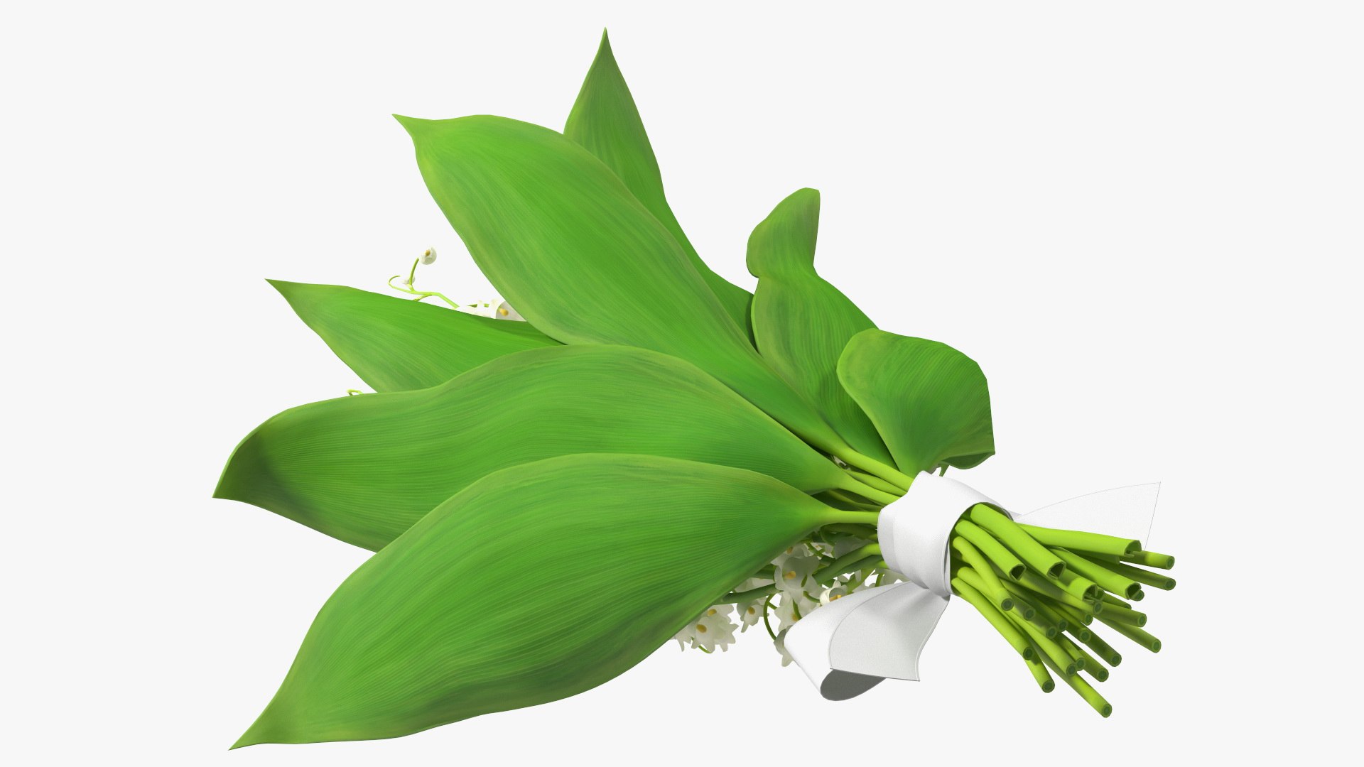 Lily of the Valley Bouquet 3D https://p.turbosquid.com/ts-thumb/Yb/W4R1Fn/vk/lilyofthevalleybouquet3dsmodel011/jpg/1654092239/1920x1080/fit_q87/d055431fc5a70ab43891874f48feb53a76d42ebc/lilyofthevalleybouquet3dsmodel011.jpg