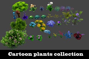Plants Flower Collection