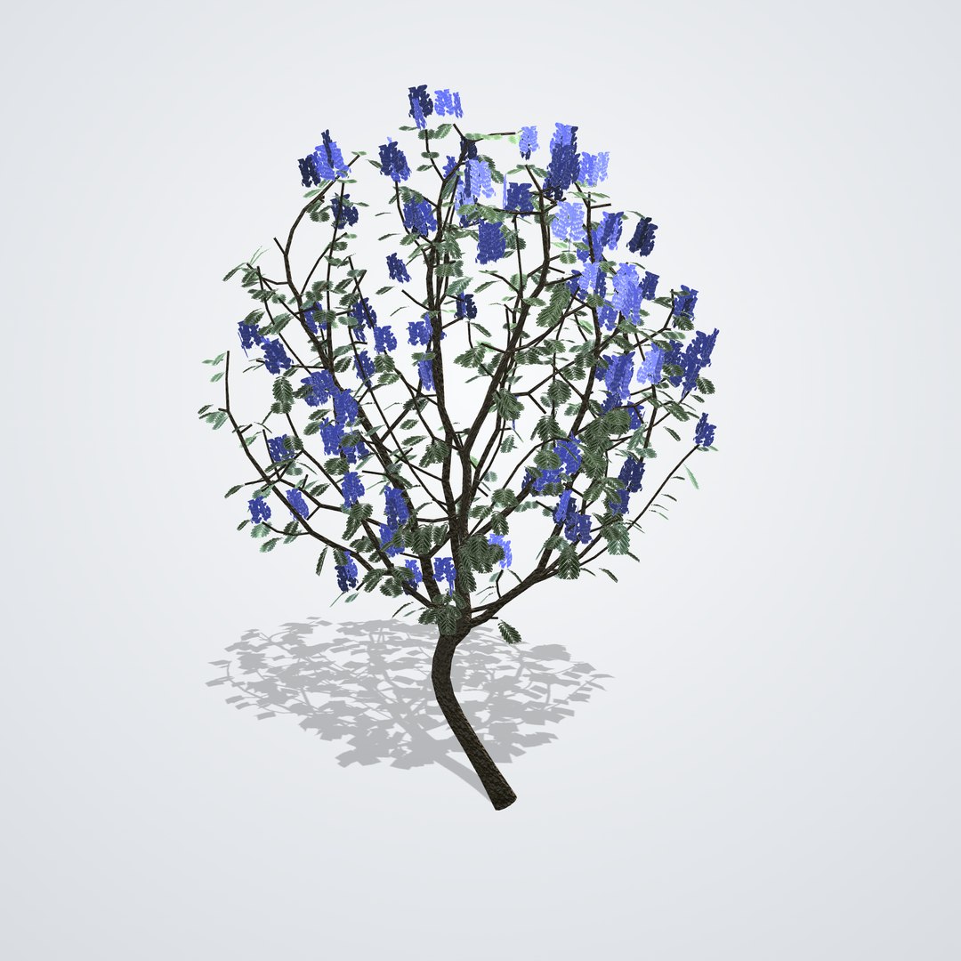3D Blue Jacaranda Tree - Jacaranda mimosifolia https://p.turbosquid.com/ts-thumb/Yb/hlA1TK/3h/jacarandamimosifolia_04_side_left/png/1790120292/1920x1080/fit_q87/ce11163e05452c1a3144b19df25969c656ff9d1d/jacarandamimosifolia_04_side_left.jpg