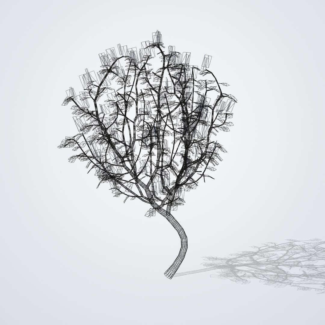 3D Blue Jacaranda Tree - Jacaranda mimosifolia https://p.turbosquid.com/ts-thumb/Yb/hlA1TK/zU/jacarandamimosifolia_06_wireframe/png/1790120293/1920x1080/fit_q87/e8a02d76183ee8c139e0f56af753514a8505bd5e/jacarandamimosifolia_06_wireframe.jpg