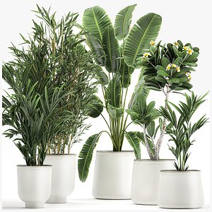 Plants in a metal flowerpot for the interior 1083