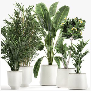 Plants in a metal flowerpot for the interior 1083