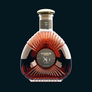 3D model CAMUS XO Cognac