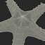 Red Knobbed Starfish Rigged for Cinema 4D