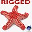 Red Knobbed Starfish Rigged for Cinema 4D