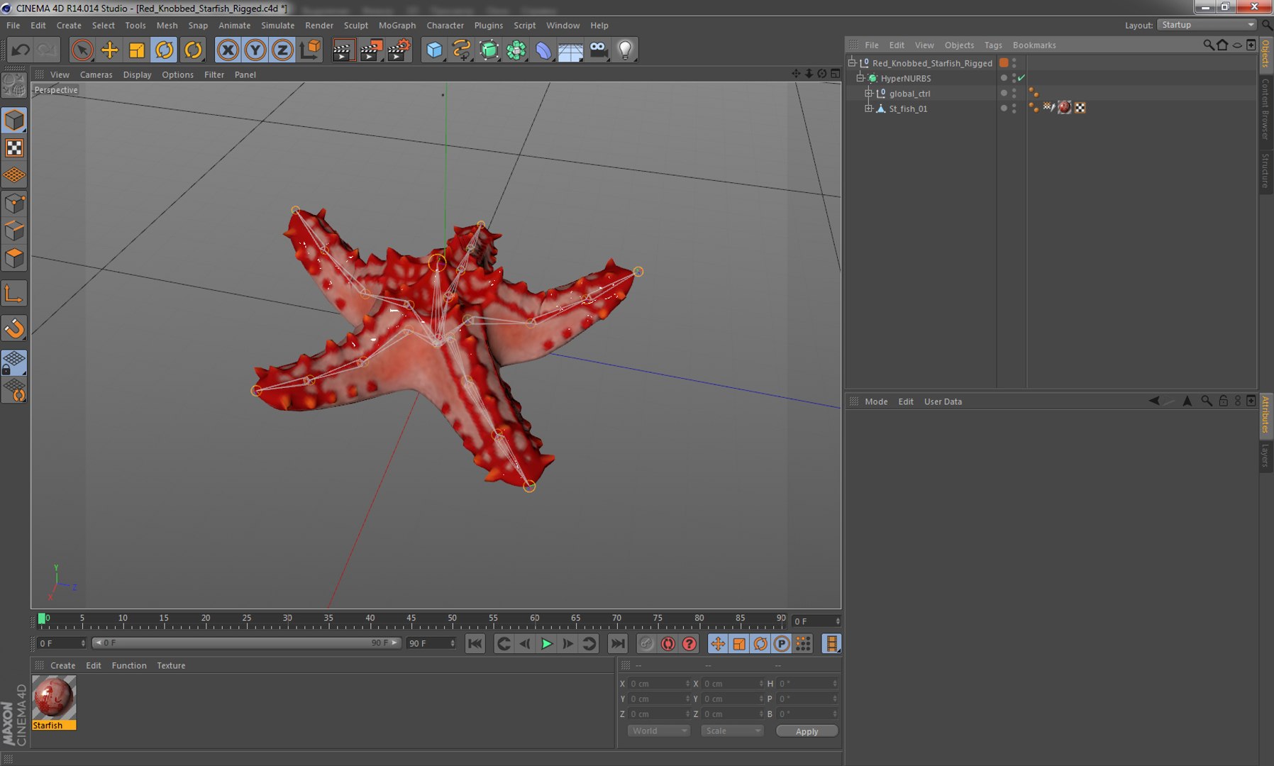 3d red knobbed starfish rigged https://p.turbosquid.com/ts-thumb/Yb/iz7Gfp/MzuayoIN/redknobbedstarfishriggedcinema4d3dmodel13/jpg/1480963257/1920x1080/fit_q87/7917c555aaa3fb6e3dcbf17cee622838f831fff7/redknobbedstarfishriggedcinema4d3dmodel13.jpg
