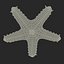 Red Knobbed Starfish Rigged for Cinema 4D