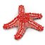 Red Knobbed Starfish Rigged for Cinema 4D