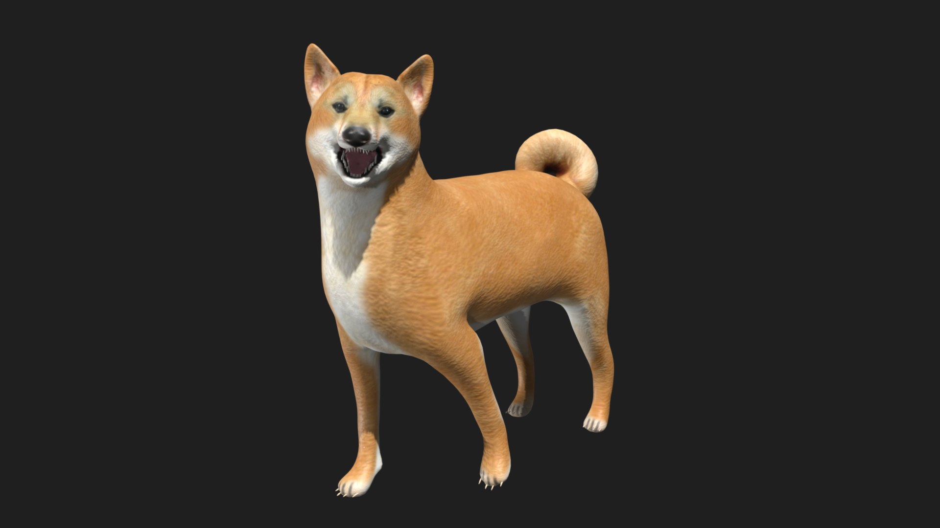 3D Shiba Inu Model - TurboSquid 1773529