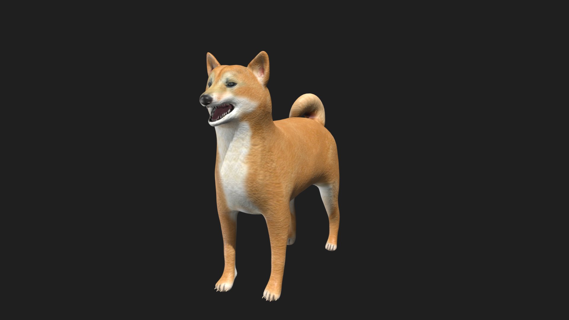 3D Shiba Inu Model - TurboSquid 1773529