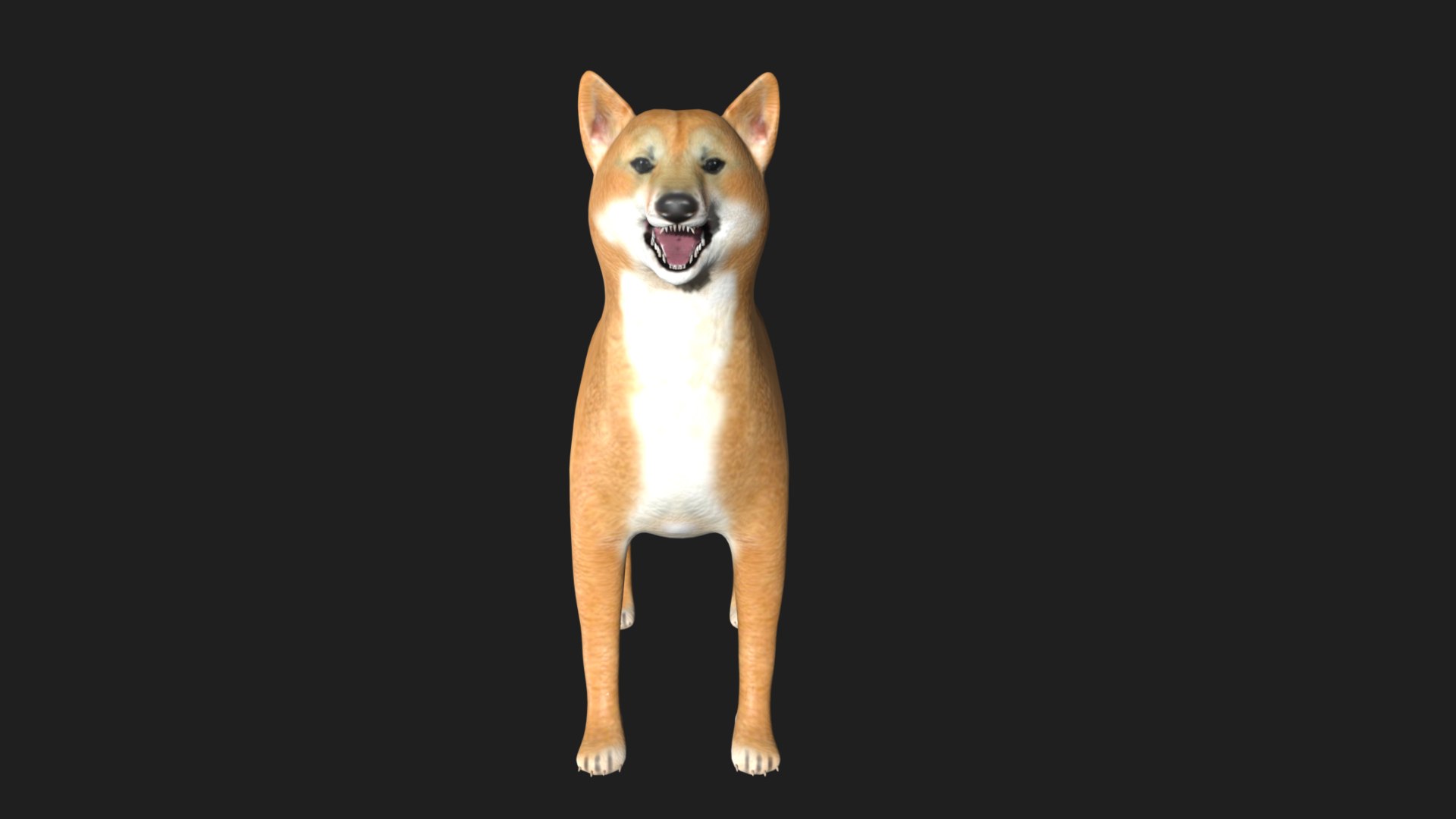 3D Shiba Inu Model - TurboSquid 1773529