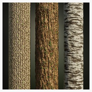 3D Procedural Tree Bark Collection