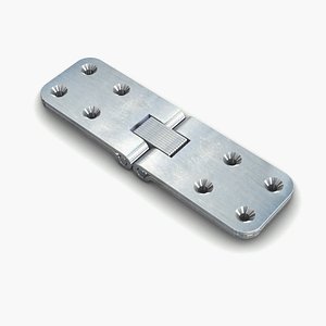 Double Axial Hinge