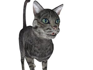3ds max rigged cat animations