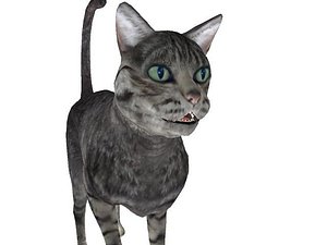 Cat_Animation_Package_from_MIXAMO