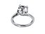 Twisted Ring for print and render and animations - CC100 3D Model