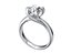 Twisted Ring for print and render and animations - CC100 3D Model