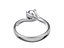 Twisted Ring for print and render and animations - CC100 3D Model