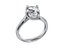 Twisted Ring for print and render and animations - CC100 3D Model