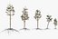Pine Tree Pack vol.02