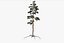 Pine Tree Pack vol.02