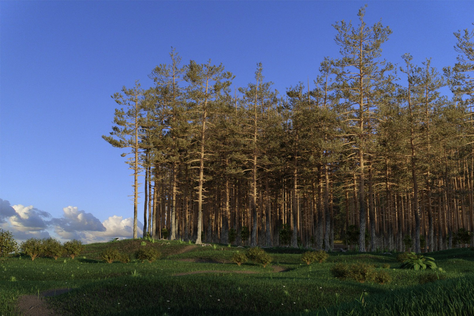 pine tree pack vol 3D https://p.turbosquid.com/ts-thumb/Yc/I4Suxm/9q8nqe0l/render1/png/1548587115/1920x1080/fit_q87/128f43ab4a47a7e5741bfb2da952f600bcf6da82/render1.jpg