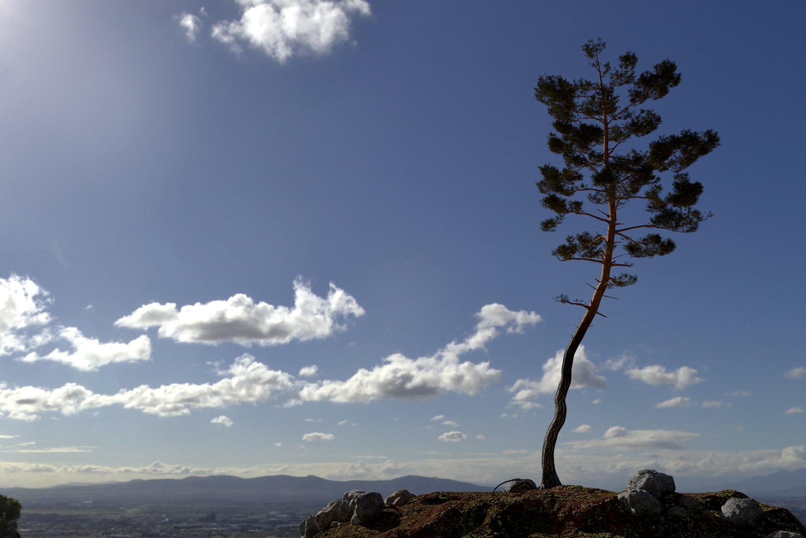 pine tree pack vol 3D https://p.turbosquid.com/ts-thumb/Yc/I4Suxm/DGsaQPI5/render/png/1548587299/1920x1080/fit_q87/0106eb1c7e308ba2d9c7699d1c2900f1922161d7/render.jpg