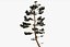 Pine Tree Pack vol.02