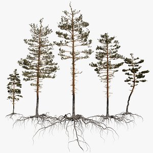 pine tree pack vol 3D