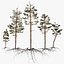 Pine Tree Pack vol.02