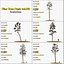 Pine Tree Pack vol.02