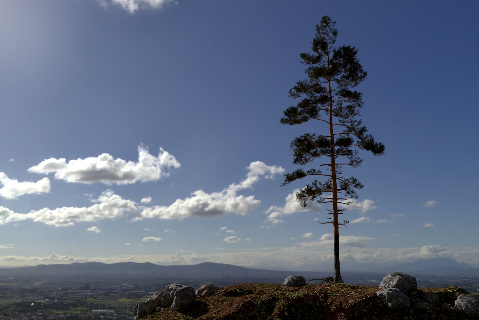 pine tree pack vol 3D https://p.turbosquid.com/ts-thumb/Yc/I4Suxm/apPvcHNN/render13/png/1548587687/1920x1080/fit_q87/b60e57e56ef3fb6a8642b9473aeb1b517f7448e5/render13.jpg