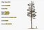 Pine Tree Pack vol.02