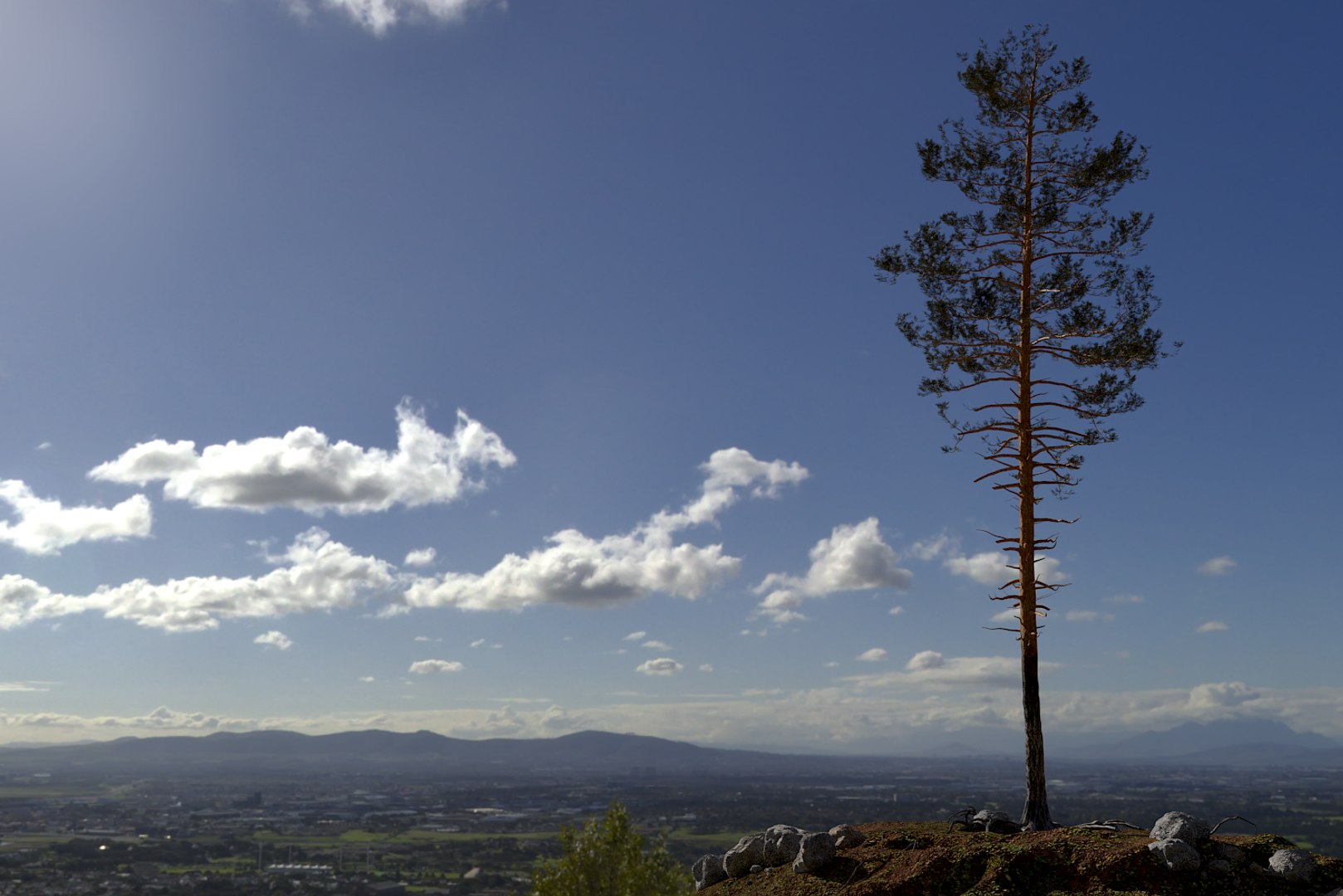 pine tree pack vol 3D https://p.turbosquid.com/ts-thumb/Yc/I4Suxm/cuRTqr17/render14/png/1548589058/1920x1080/fit_q87/c1f4b595d65fed0205361426ff8bb84b0f26645b/render14.jpg