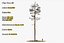 Pine Tree Pack vol.02