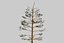 Pine Tree Pack vol.02
