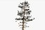 Pine Tree Pack vol.02