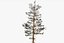 Pine Tree Pack vol.02